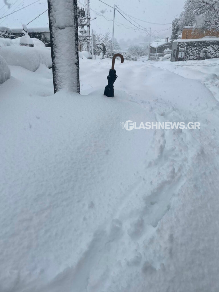 Κακοκαιρία «Μπάρμπαρα»-Χανιά: Μέτρησαν το ύψος του χιονιού με... ομπρέλα ΦΩΤΟ