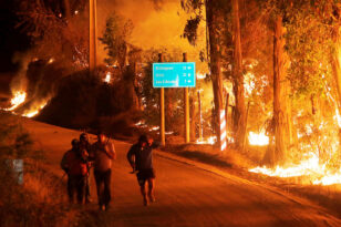 Χιλή: Στους 24 οι νεκροί από τις δασικές πυρκαγιές, ξεπερνούν τους 1.000 οι τραυματίες