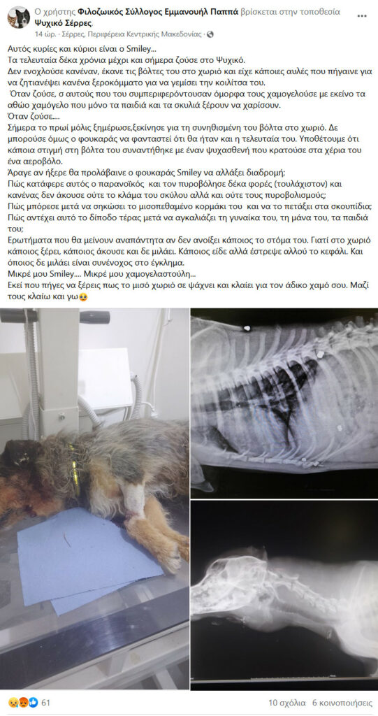 Σέρρες: Σκότωσαν σκύλο με αεροβόλο και τον πέταξαν στα σκουπίδια