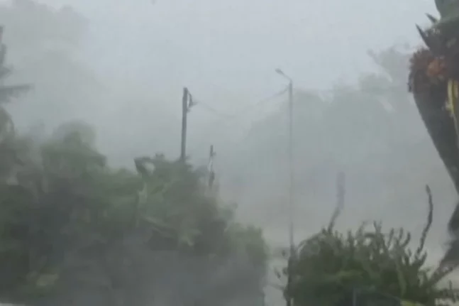 Γαβρολίμνη Ναυπακτίας: Οι δυνατοί άνεμοι «σήκωσαν» σκεπή από αποθήκη - Δέντρο κόπηκε στα δύο στην Άνω Βασιλική BINTEO