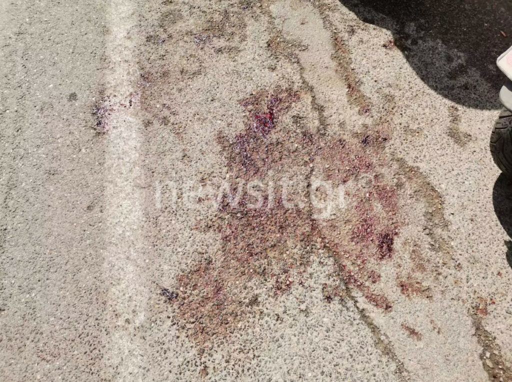 Εφετείο: Πώς έγινε η επίθεση με μαχαίρι - «Ξαφνικά είδαμε μια λίμνη αίματος» ΦΩΤΟ ΒΙΝΤΕΟ