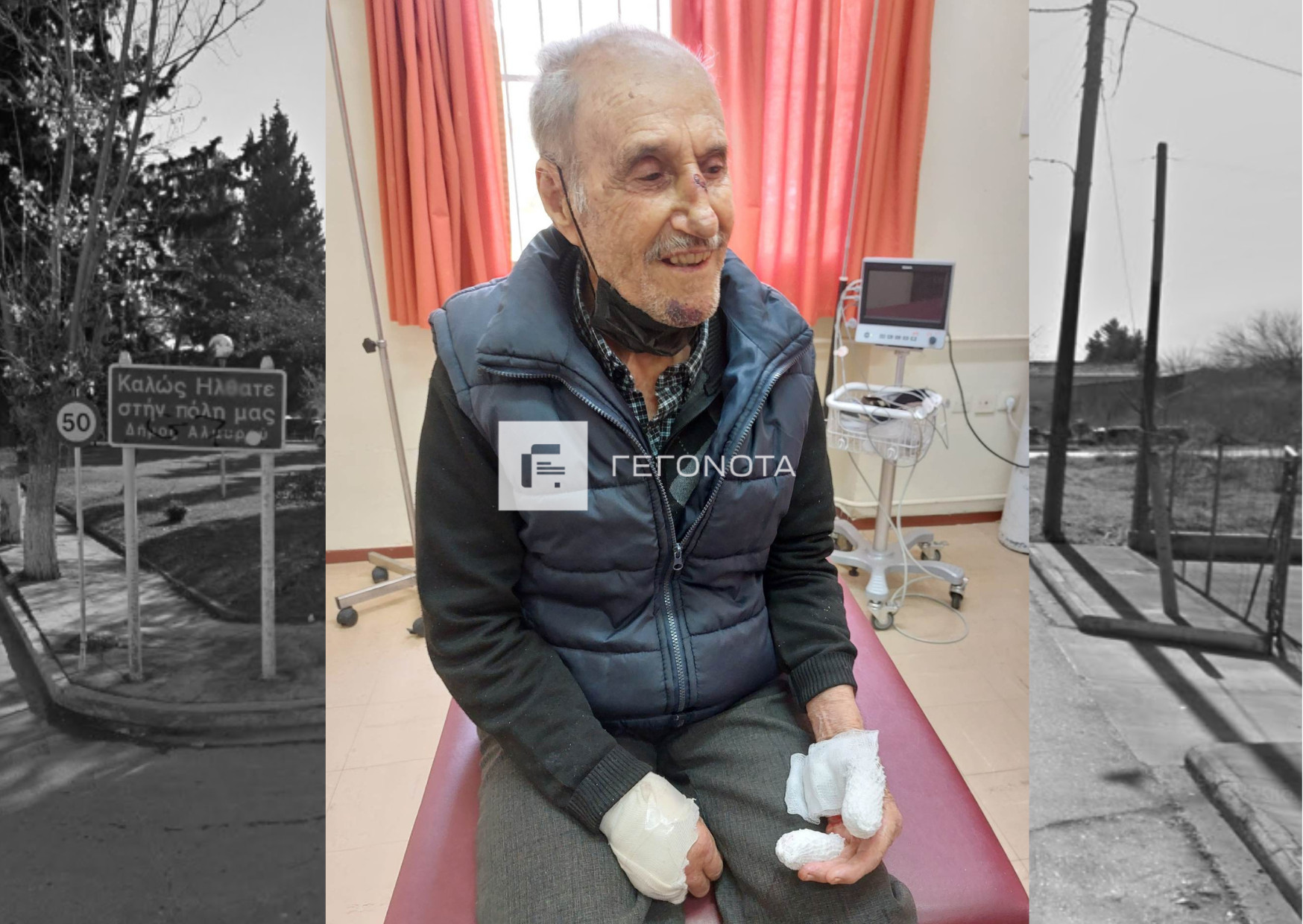 Βόλος: Εφιαλτικές στιγμές για 93χρονο - Δέχτηκε άγρια επίθεση από αδέσποτα - ΦΩΤΟ