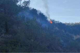 Μάρμαρα Αιγείρας: Οριοθετήθηκε η φωτιά που ξέσπασε σε δασική έκταση ΦΩΤΟ