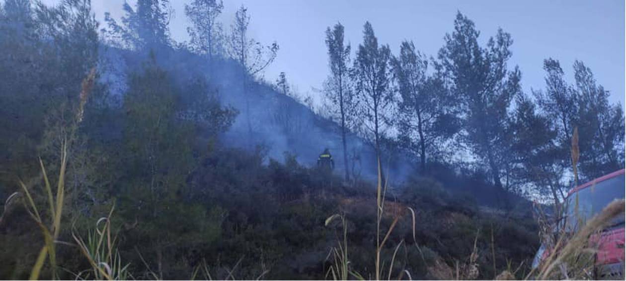 Μάρμαρα Αιγείρας: Οριοθετήθηκε η φωτιά που ξέσπασε σε δασική έκταση ΦΩΤΟ