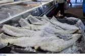 Μπακαλιάρος σε τιμή... χαβιάρι: Πόσο θα μας κοστίσει το τραπέζι της Εθνικής Επετείου