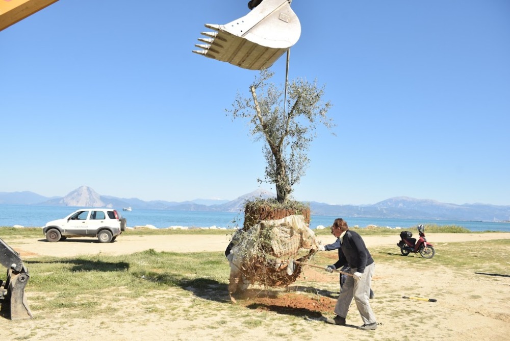 Πάτρα: Νέα πάρκα στην παραλία δημιουργεί ο Δήμος ΦΩΤΟ