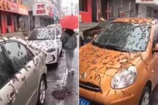 Στο Πεκίνο βρέχει ... σκουλήκια: Οι θεωρίες για το περίεργο φαινόμενο - «Nα κυκλοφορείτε με ομπρέλα» BINTEO