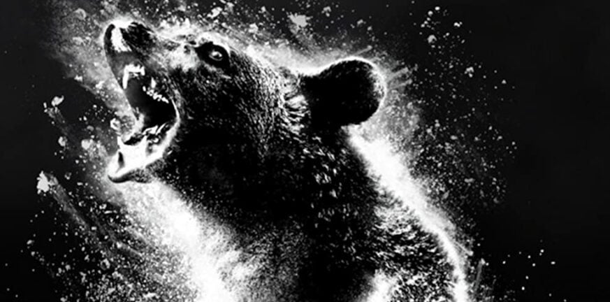 Cocaine Bear