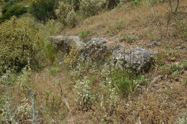 Συνέντευξη Λίνας Μενδώνη