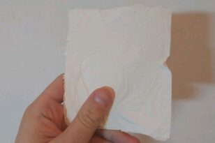Ιωάννινα: Έλληνες επιστήμονες κατάφεραν να δημιουργήσουν χαρτί από... βακτήρια