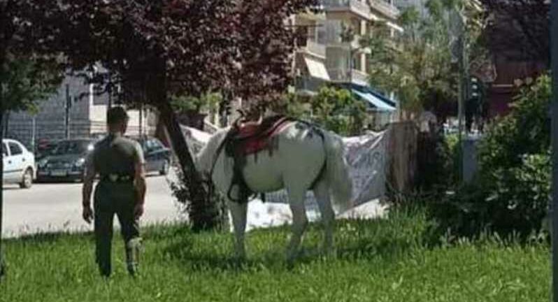 Αλογο για «βοσκή» σε κεντρική πλατεία της Πάτρας - ΦΩΤΟ