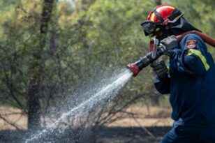 Ξεκινά την 1η Μαΐου η αντιπυρική περίοδος: Πολλές καταγγελίες για ακαθάριστα οικόπεδα - Οι οδηγίες της Πυροσβεστικής