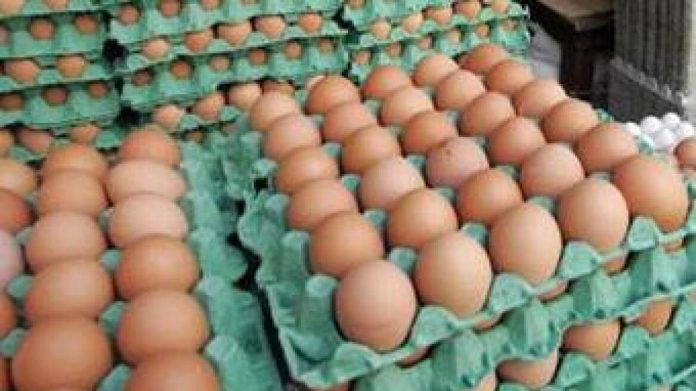 «Μπλόκο» του ΣΔΟΕ σε πασχαλινά αβγά από Βουλγαρία - Εντοπίστηκε φορτίο χωρίς σήμανση