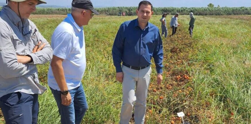 Παράταση της παραχώρησης χρήσης αγροτικών ακινήτων - Μέχρι πότε