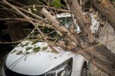 Πάτρα: Μεθυσμένος οδηγός έπεσε με αυτοκίνητο σε δέντρο – Τέσσερις τραυματίες