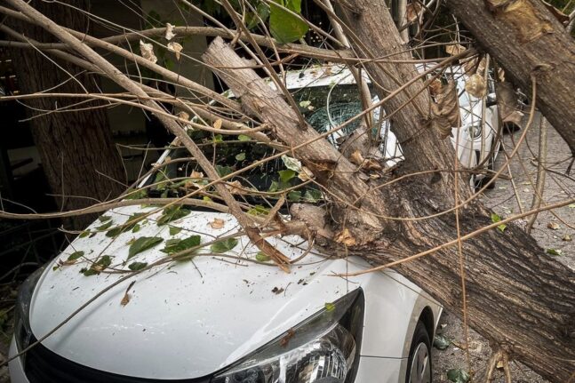 Πάτρα: Έπεσε δέντρο πάνω σε αυτοκίνητα - Τραυματίστηκε ένα άτομο