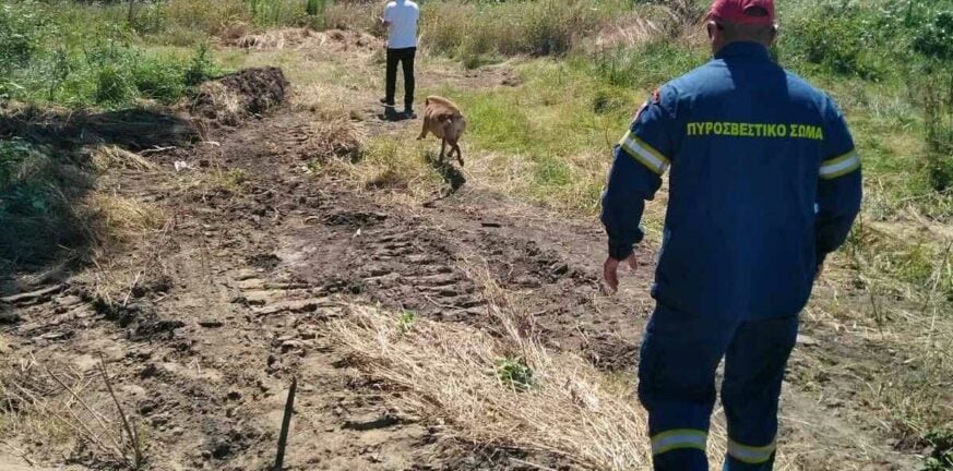 Φθιώτιδα: Εξαφανίστηκε γυναίκα από το σπίτι της στη Στυλίδα – Στις έρευνες και η ΕΜΑΚ