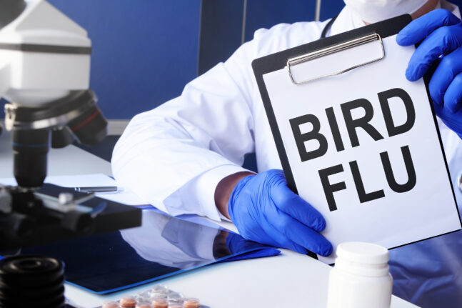 Γρίπη των πτηνών