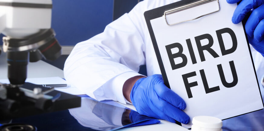 Γρίπη των πτηνών: Πηγή «μεγάλης ανησυχίας» για τον ΠΟΥ