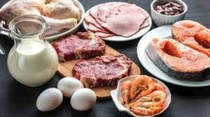 Παγκόσμιος Οργανισμός Τροφίμων: Κρέας, αυγά και γαλακτοκομικά «βασικές πηγές» θρεπτικών συστατικών