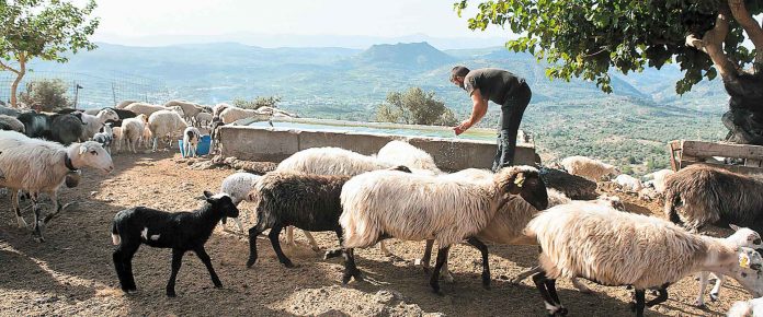 Αγρότες-Κτηνοτρόφοι: Ξέμειναν από εργάτες - Αν μειωθεί η παραγωγή, θα ανέβουν οι τιμές