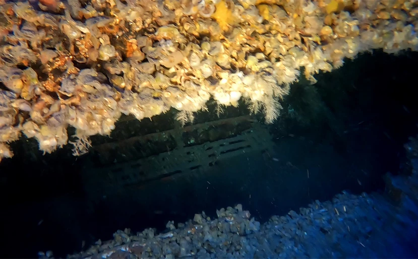 Κάβο Ντόρο: Εντοπίστηκε σπάνιο ναυάγιο - ΦΩΤΟ
