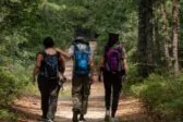 Πάτρα: Περίπατος αντί για σχολική εκδρομή