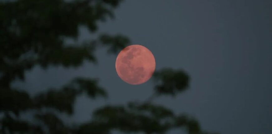 Πανσέληνος Απριλίου 2023: Άκρως εντυπωσιακό και... ερωτεύσιμο το «Ροζ Φεγγάρι»! - Δείτε ΦΩΤΟ