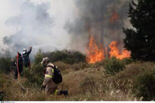 Θεσσαλονίκη: Το Σέιχ Σου θα έχει πλέον ραντάρ έγκαιρης προειδοποίησης για φωτιά