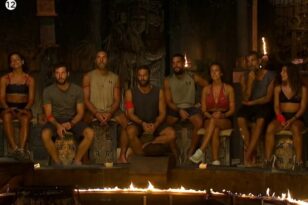 Survivor All Star