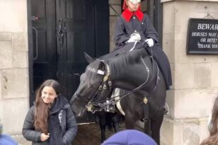 Μπάκιγχαμ: Η στιγμή που άλογο της βρετανικής φρουράς «δοκιμάζει»... τα μαλλιά τουρίστριας