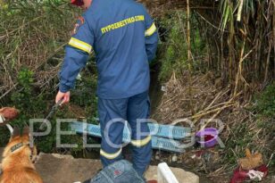 Πύργος: Άκαρπες οι οι έρευνες για τον εντοπισμό του 2χρονου κοριτσιού – ΦΩΤΟ
