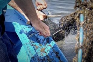 «Χτύπημα» στην παράνομη αλιεία στη λιμνοθάλασσα Μεσολογγίου