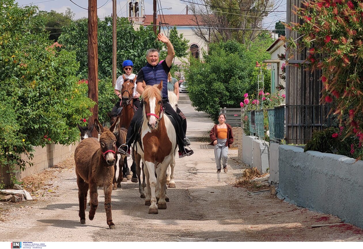 Εκλογές 2023 - Ναύπλιο: Πήγε να ψηφίσει καβάλα... στ' άλογο του, μαζί και με το γαϊδουράκι του! - ΦΩΤΟ