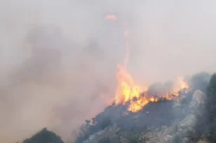  Σάμος: Φωτιά κοντά σε εργοστάσιο - Ισχυρές οι δυνάμεις της Πυροσβεστικές στο σημείο ΦΩΤΟ