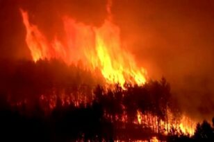 Ισπανία: Η φωτιά στην Τενερίφη καίει ανεξέλεγκτα - 3.800 άνθρωποι χρειάστηκε να απομακρυνθούν - ΦΩΤΟ