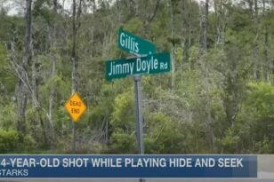 ΗΠΑ: 58χρονος πυροβόλησε στο κεφάλι 14χρονη που έπαιζε κρυφτό στον κήπο του - ΒΙΝΤΕΟ