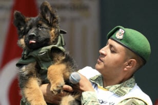 Η Τουρκία χάρισε αξιαγάπητο κουτάβι στο Μεξικό μετά το θάνατο εκπαιδευμένου σκύλου στα συντρίμμια του σεισμού