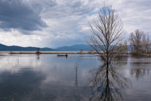 Η Λίμνη Δοϊράνη απο Ψηλά: Ένας σπουδαίος υδροβιότοπος στα σύνορα της Ελλάδας (βίντεο)