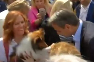 Εκλογές 2023 - Μητσοτάκης: Ο... χαιρετισμός του Πρωθυπουργού με... έναν σκύλο! - ΒΙΝΤΕΟ