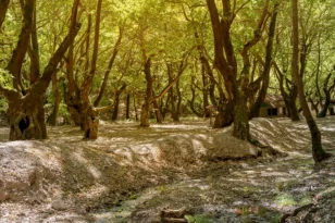 Ορεινές αποδράσεις δίπλα στην Αχαΐα: Χωριά που αξίζουν μια μονοήμερη εκδρομή