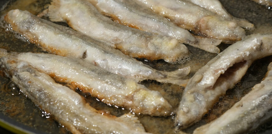 Κάρπαθος: Σωρεία αντιδράσεων για τα ψάρια που τηγάνιζαν ζωντανά - «Είναι βασανισμός» ΒΙΝΤΕΟ