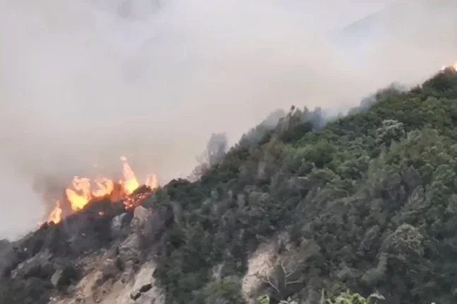 επιχειρηματίας