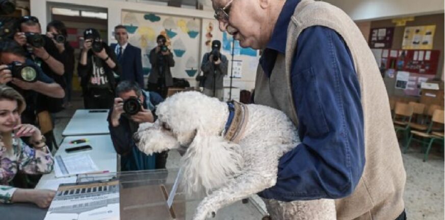 Εκλογές 2023: Viral ο... σκύλος που πήγε να «ψηφίσει»! - ΦΩΤΟ