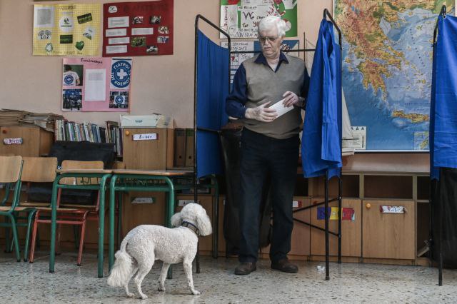 Εκλογές 2023: Viral ο... σκύλος που πήγε να «ψηφίσει»! - ΦΩΤΟ