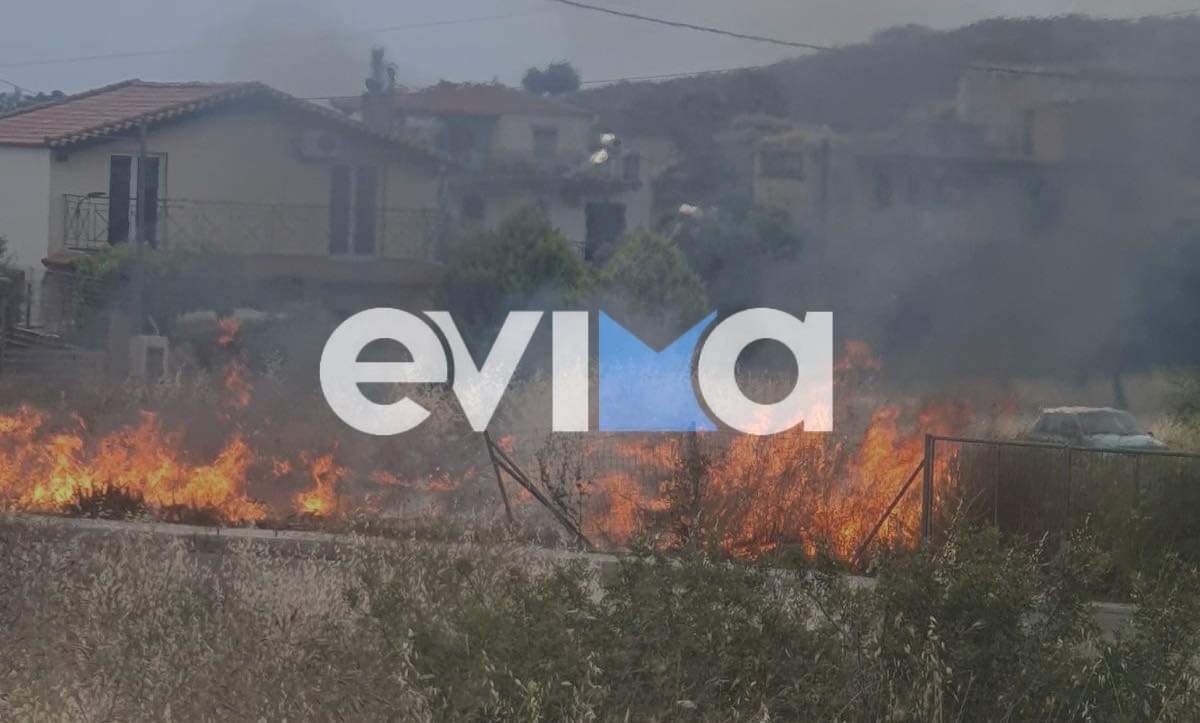 Εύβοια: Ξέσπασε φωτιά κοντά σε κατοικημένη περιοχή της Χαλκίδας - ΦΩΤΟ