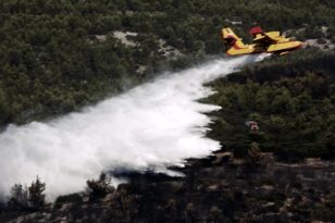 ΝΕΟΤΕΡΑ Ηλεία: Οριοθετήθηκε η μεγάλη φωτιά ανάμεσα σε Δάφνη - Αετοράχη - Στάχτη 20 στρέμματα