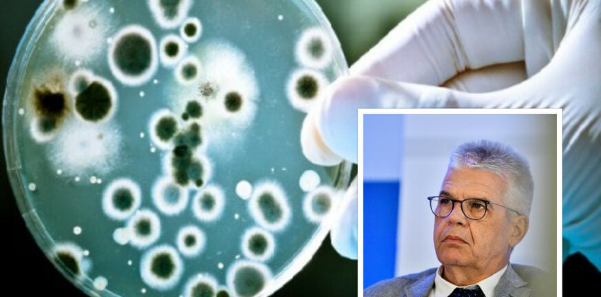Η νόσος «Χ» και ο νέος κίνδυνος μετά την πανδημία - Τι λέει ο Χαράλαμπος Γώγος στην «Π»