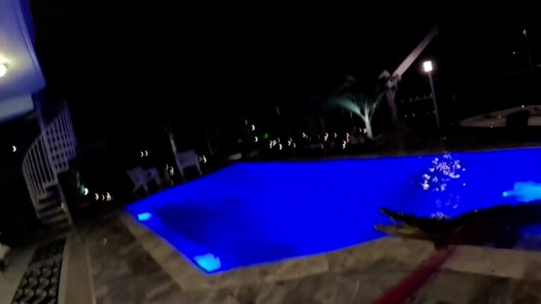 Φλόριντα: Κροκόδειλος τριών μέτρων βρέθηκε μέσα σε πισίνα ΒΙΝΤΕΟ