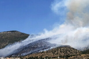 Λάρισα: Μάχη με τις φλόγες δίνουν οι Πυροσβέστες στο Κυψελοχώρι ΝΕΟΤΕΡΑ